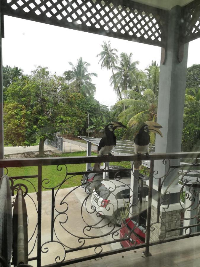 Darney'S Homestay Kg Bangau Tanjung Temerloh Kültér fotó